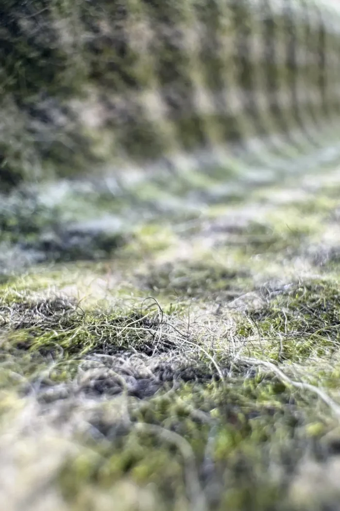 Cashmere Merino Tweed